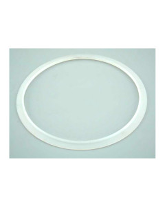 Junta silicona proyector extraplano AstralPool 4403010102