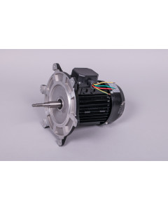 Motor 1 HP III bomba AstralPool 65563R0475