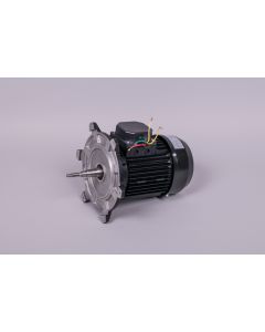 Motor 1,5 HP III bomba AstralPool 65565R0475