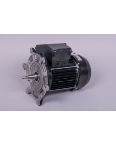 Motor 2 HP II bomba AstralPool 65566R0475