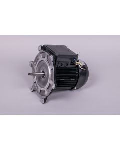 Motor ½ HP II bomba AstralPool 65557R0475