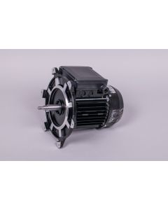Motor ¾ HP II bomba AstralPool 65560R0475