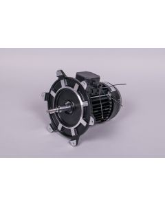Motor ¾ HP III bomba AstralPool 65561R0475