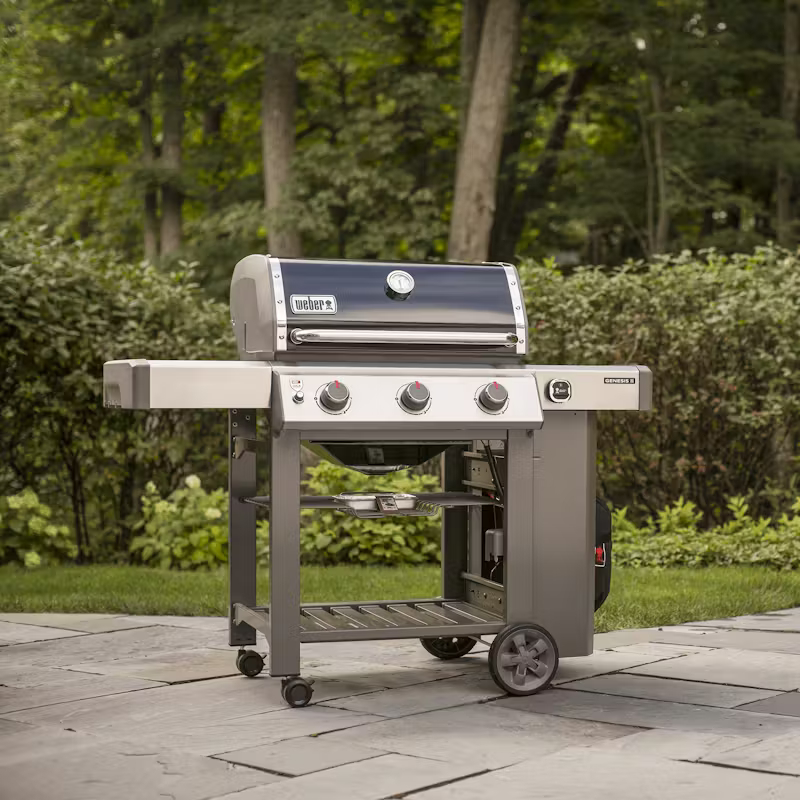 Barbacoa Weber gas Genesis II E-310 GBS
