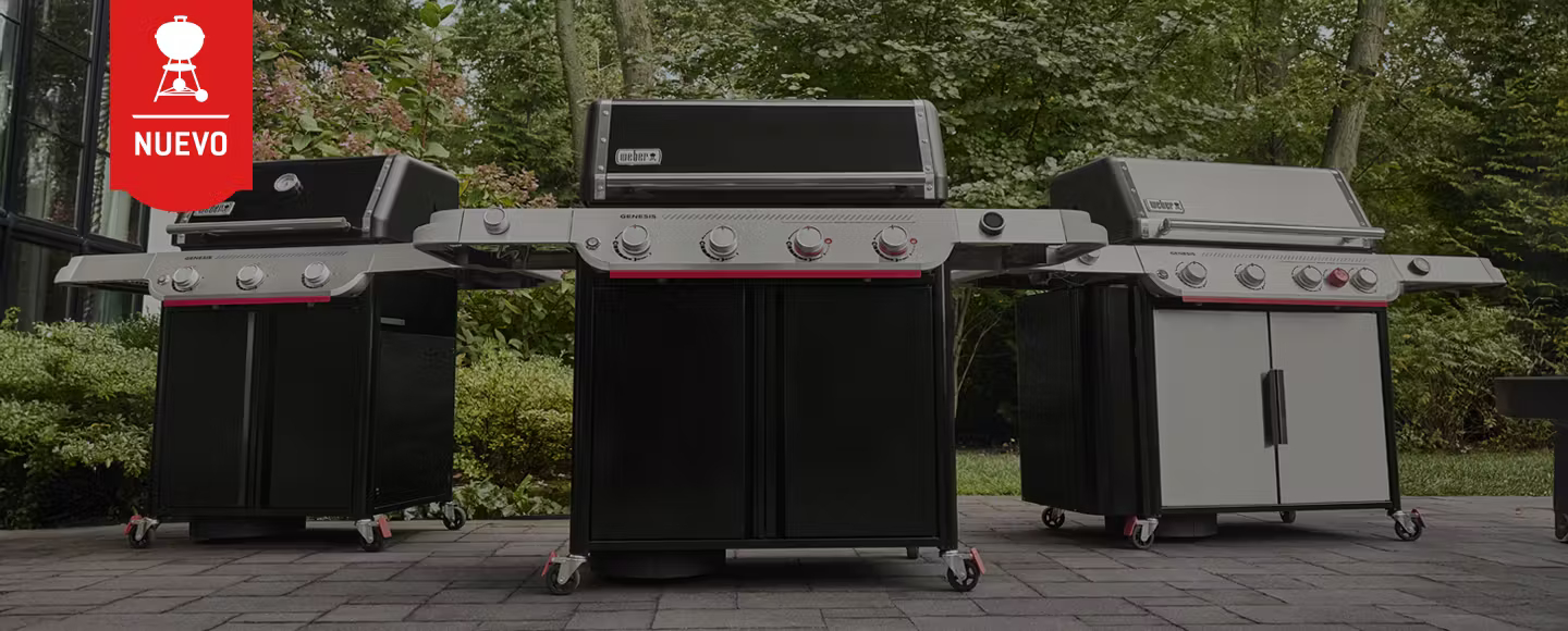 Barbacoas Weber de gas Genesis