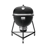Barbacoas Carbón Summit Kamado Weber