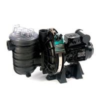 Sta-Rite Self-Priming Pumps