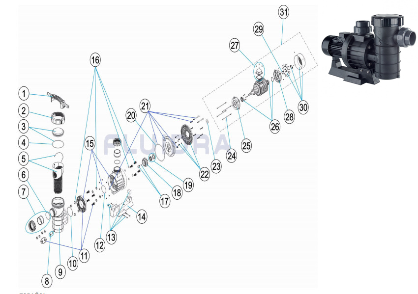 astralpool maxim pump spare parts