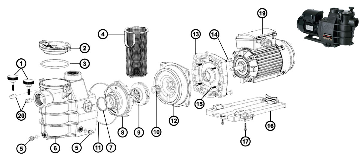 Recambios Bomba Hayward Max Flo